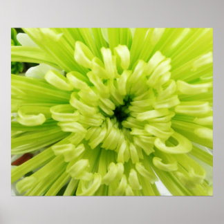 Póster Neon Green Flower Futebol Mãe Fechar o Fundo