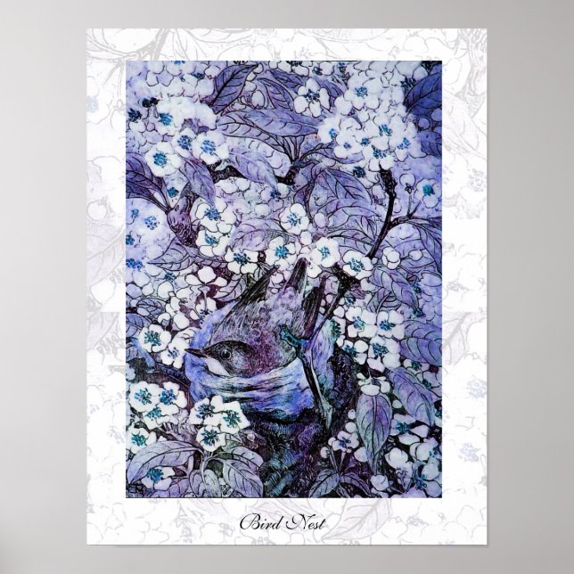 Poster NEST DO PÁSSARO, azul branco (Frente)