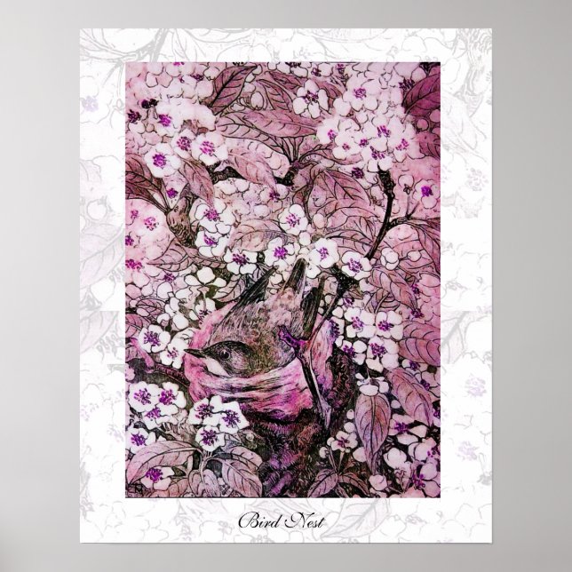Poster NEST DO PÁSSARO, violino rosa branco vermelho (Frente)