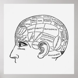 Poster Neurologia de Frenologia Vintage ilustrada