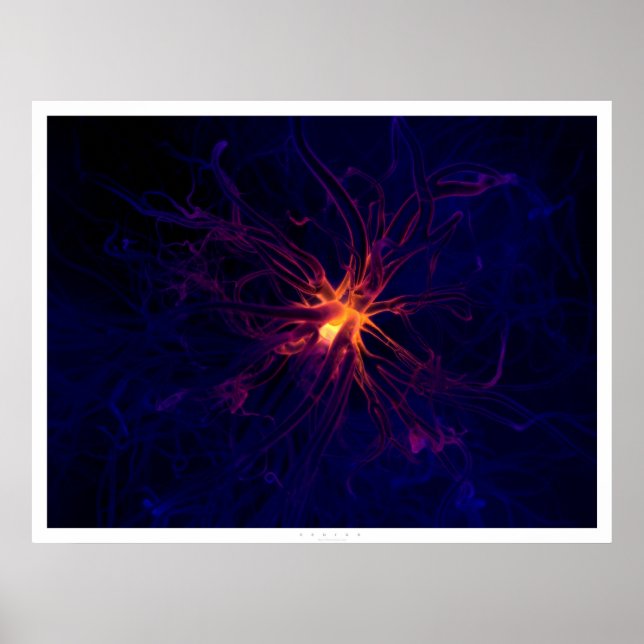Poster Neuron (Frente)