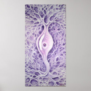 Póster Neurônio bipolar