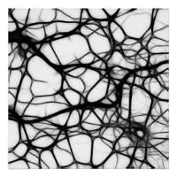 Neurônios