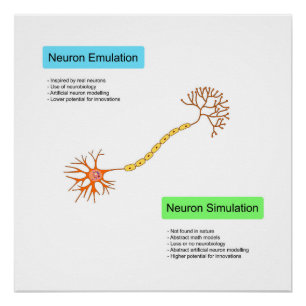 Póster Neurônios