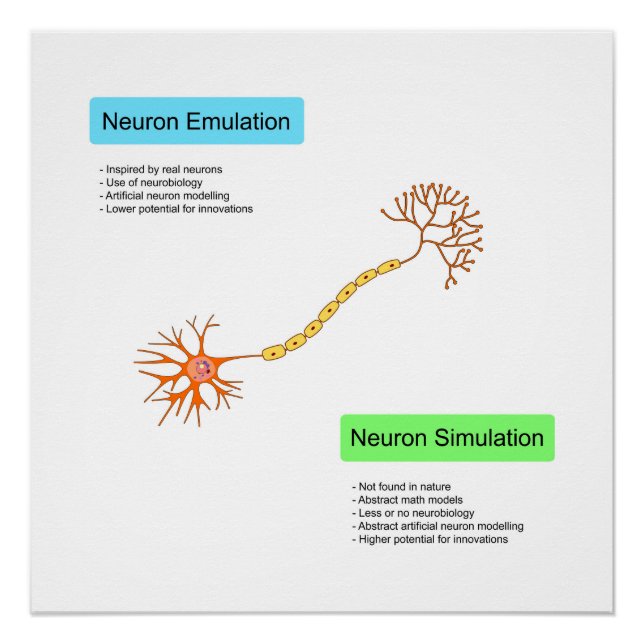 Póster Neurônios (Frente)