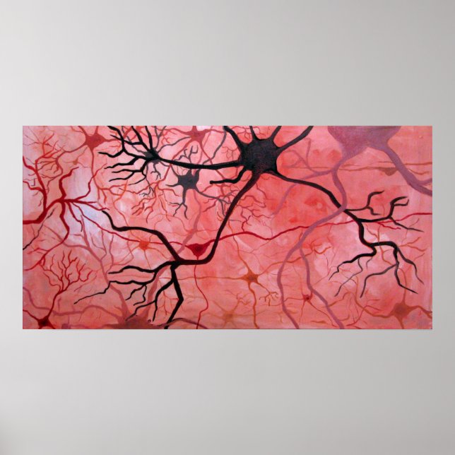Póster Neurônios (Frente)