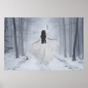 Poster Neve