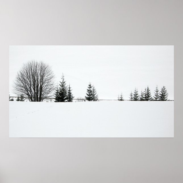 Póster Neve (Frente)