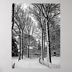 Poster Neve de Central Park 2010 - CIMG6447-a