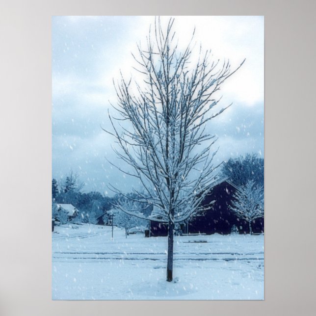 Póster Neve de inverno (Frente)