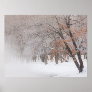 Poster Neve de inverno Lago Kussharo