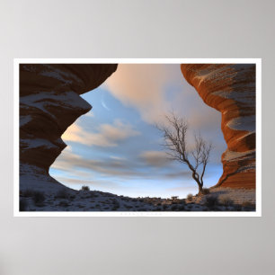 Póster Neve do deserto