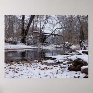 Poster Neve Em Finley