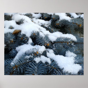 Poster neve em galhos