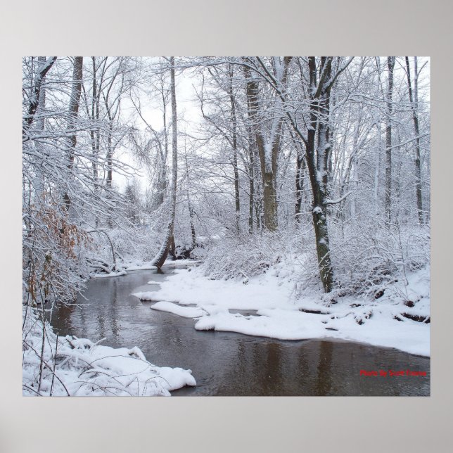 Poster Neve em McLuney (Frente)