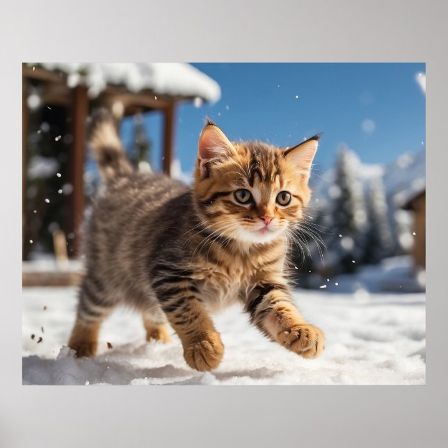 Poster *~* Neve Executando Gatinho 5:4 Kitten Cat AP68 (Frente)