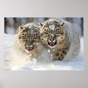 Poster Neve Leopardo Animal Natureza Majestosa Selvagem