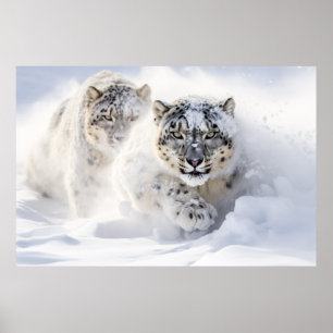 Poster Neve Leopardo Animal Natureza Majestosa Selvagem