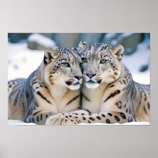 Poster Neve Leopardo Animal Natureza Natureza Natureza Se (Frente)