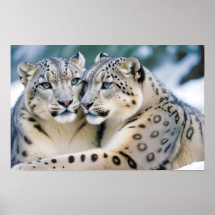 Poster Neve Leopardo Natureza Animal Afetação da Natureza