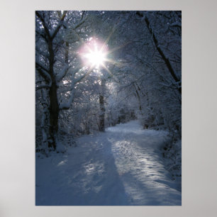 Póster Neve & luz
