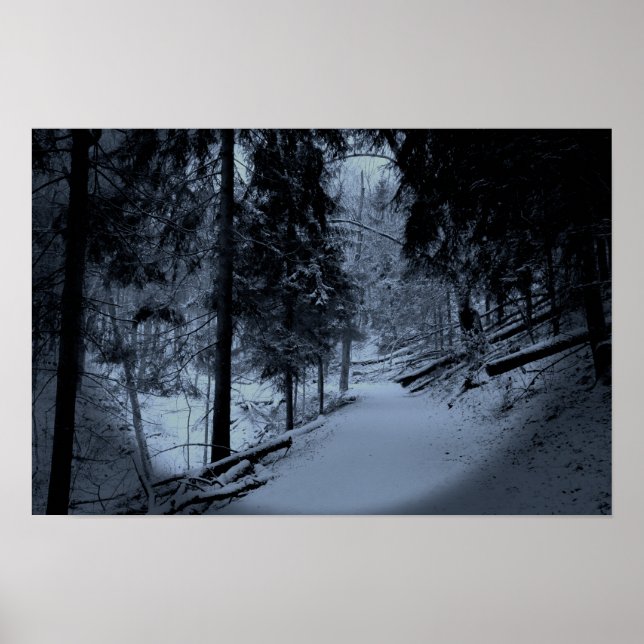 Poster Neve na Trilha de Hiking 3 (Frente)