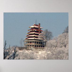 Póster Neve no pagode