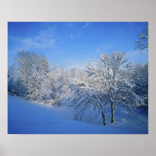 Poster Neve recorde em Louisville, Kentucky.