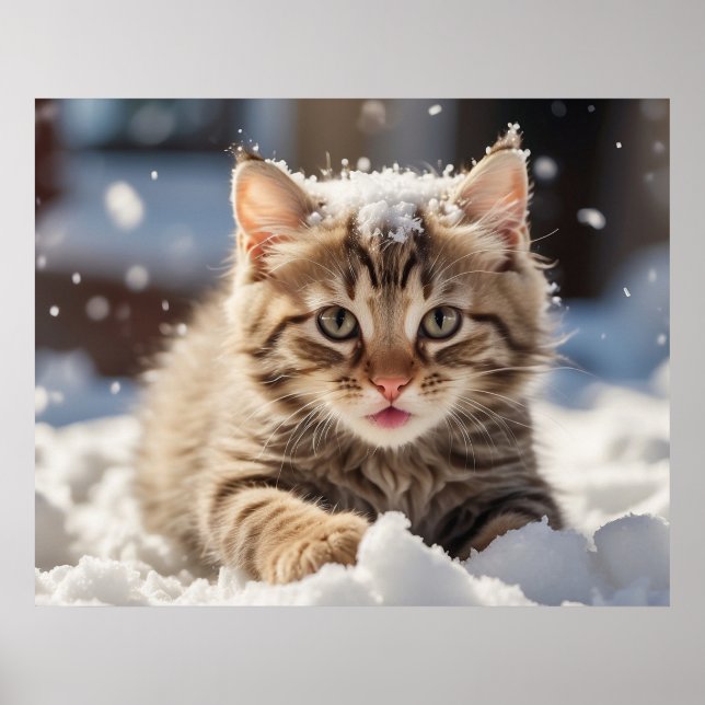 Poster *~* Neve Reproduzindo Gatinho 5:4 Kitten Cat AP68 (Frente)