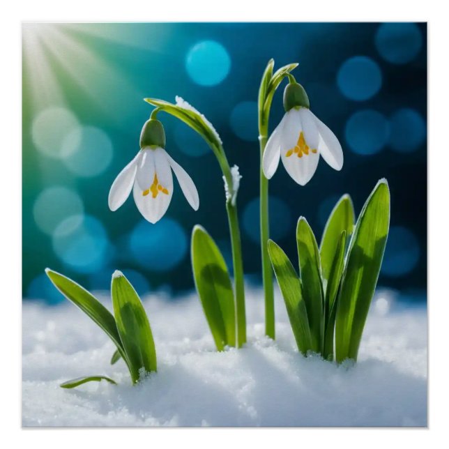 Póster Neves #1 Wall Art (Frente)