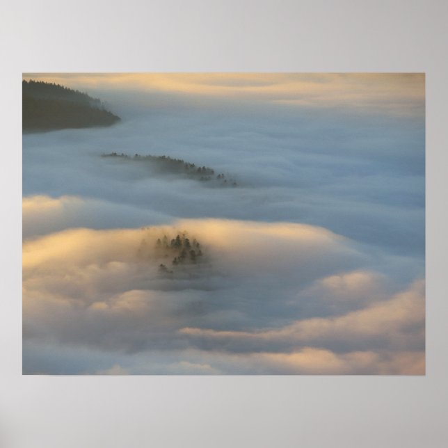 Poster Névoa do sol nas montanhas de Pieniny (Frente)