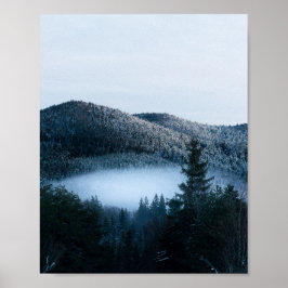 Poster Névoa misteriosa presa na floresta de abetos de in