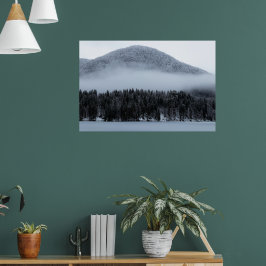 Poster Névoa sobre a floresta de papoilas
