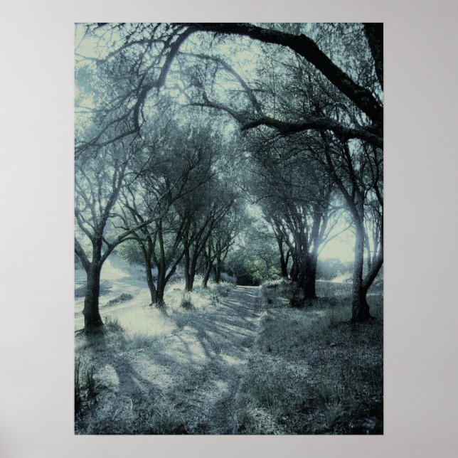 Póster Nevoeiro da aurora (Frente)