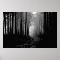 nevoeiro da floresta 9