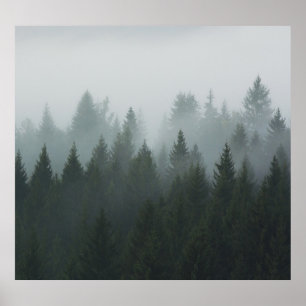 Poster Nevoeiro do outono da Floresta Mistura