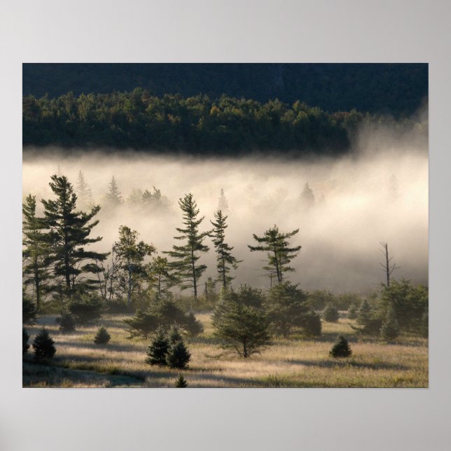 Póster Nevoeiro matinal nos Adirondacks (Frente)