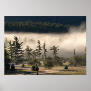 Póster Nevoeiro matinal nos Adirondacks 4