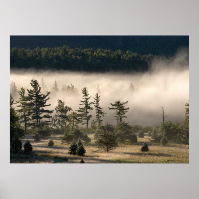 Póster Nevoeiro matinal nos Adirondacks 4 (Frente)