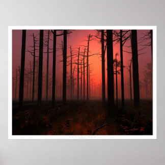 Poster Nevoeiro sunset
