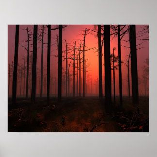 Póster Nevoeiro sunset