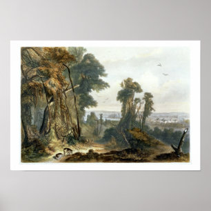 Póster New Harmony on the Wabash, plate 2 from Volume 2 o