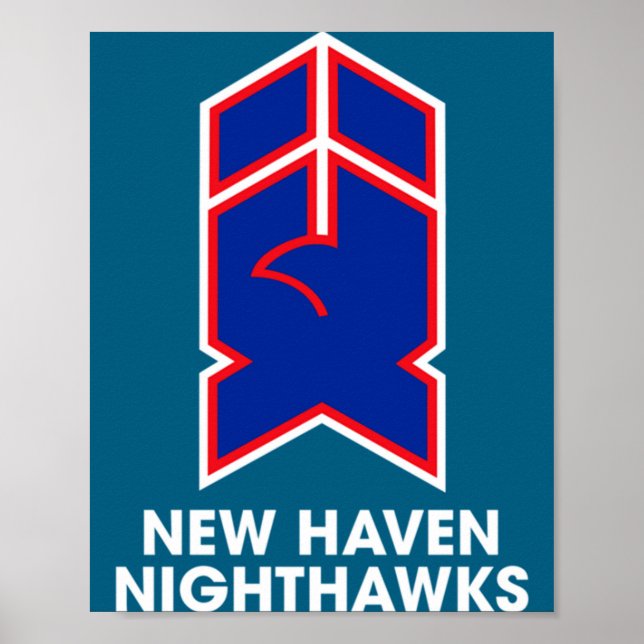 Poster New Haven Nighthawks Essencial (Frente)