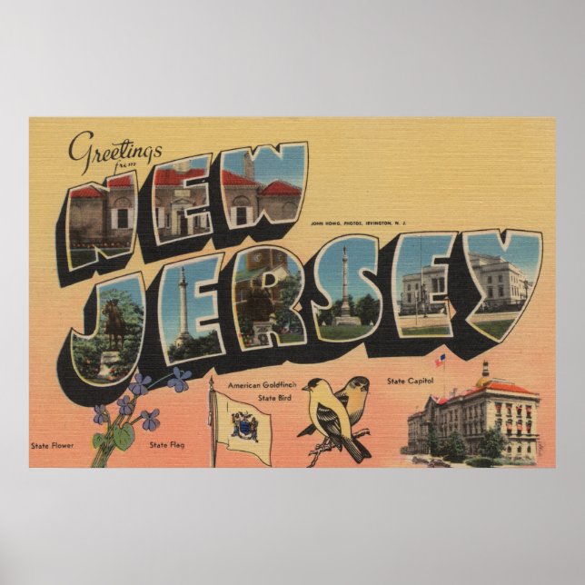 Póster New Jersey (Capital Estatal/Flor/Pássaro) (Frente)