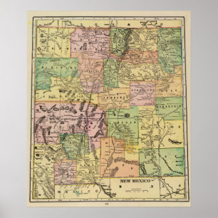 Póster New mexico