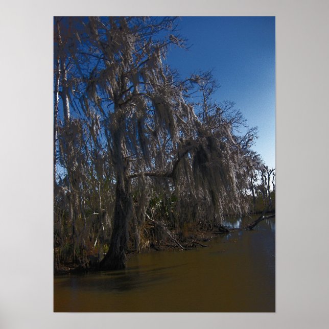 Poster New Orleans Bayou (Frente)