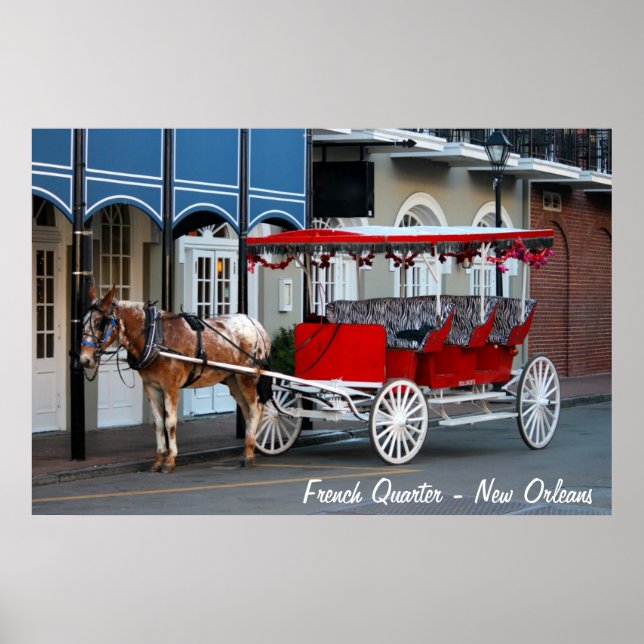 Póster New Orleans Carruagem Ride (Frente)