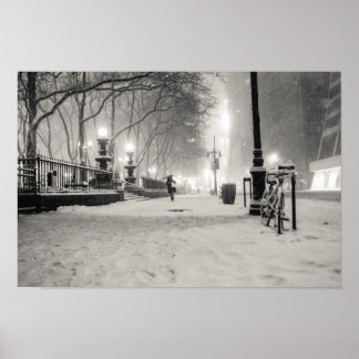 Póster New York Winter - Snowy Night - Bryant Park