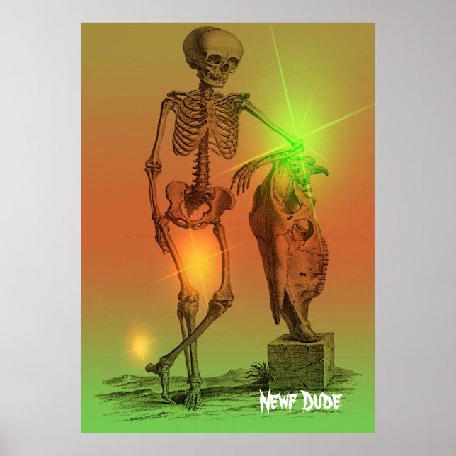 Póster Newf Dude (Frente)