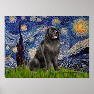 Póster Newfie 2 - Noite Estrelada